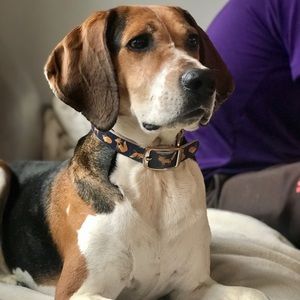 Meet your Posher, Grace